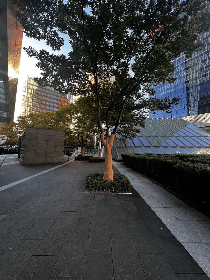 Acervo do polo Seoul